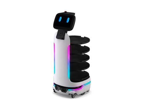 Generic Robot