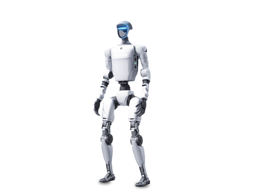 Humanoid