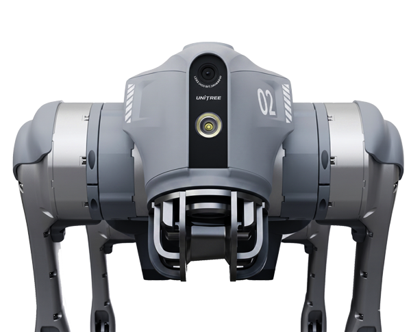 Entertainment Robotic Dog